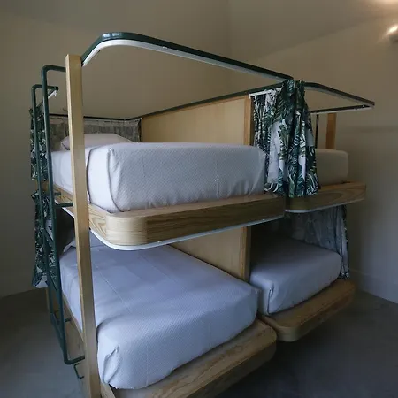 Aktion House *